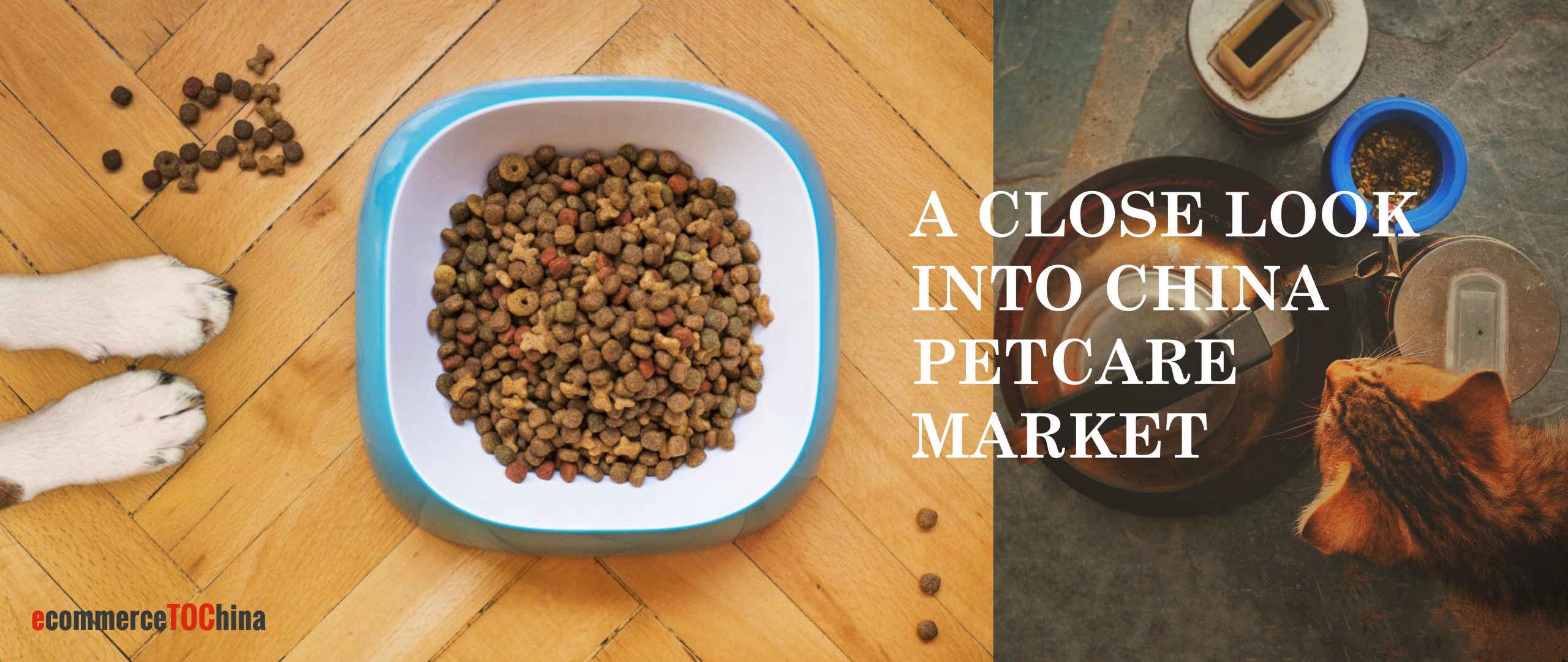 L Catterton enters Chinese pet food market