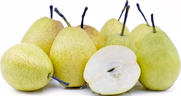 Gifting Pears Taboo